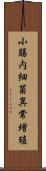 小腸内細菌異常増殖 Scroll