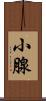 小腺 Scroll