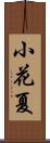 小花夏 Scroll