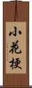 小花梗 Scroll