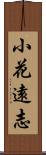 小花遠志 Scroll