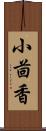 小茴香 Scroll