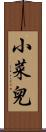 小菜兒 Scroll