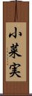 小菜実 Scroll