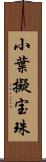 小葉擬宝珠 Scroll