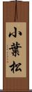 小葉松 Scroll