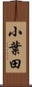 小葉田 Scroll