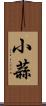 小蒜 Scroll