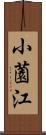小薗江 Scroll