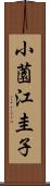 小薗江圭子 Scroll