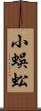 小蜈蚣 Scroll