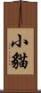 小貓 Scroll