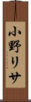 小野リサ Scroll