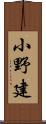 小野建 Scroll