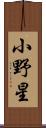 小野星 Scroll
