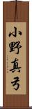 小野真弓 Scroll