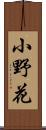 小野花 Scroll