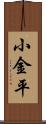 小金平 Scroll