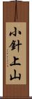 小針上山 Scroll