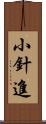 小針進 Scroll