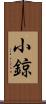 小鍄 Scroll