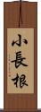 小長根 Scroll