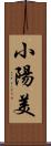 小陽美 Scroll