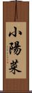 小陽菜 Scroll