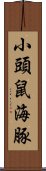 小頭鼠海豚 Scroll