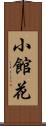 小館花 Scroll