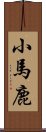 小馬鹿 Scroll