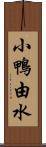 小鴨由水 Scroll