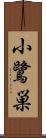 小鷺巣 Scroll