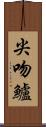 尖吻鱸 Scroll