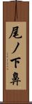 尾ノ下鼻 Scroll