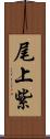 尾上紫 Scroll