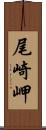尾崎岬 Scroll