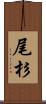 尾杉 Scroll