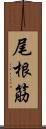 尾根筋 Scroll