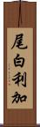 尾白利加 Scroll