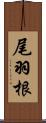 尾羽根 Scroll