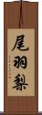 尾羽梨 Scroll