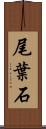 尾葉石 Scroll