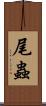 尾蟲 Scroll