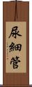 尿細管 Scroll