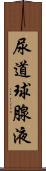 尿道球腺液 Scroll