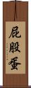 屁股蛋 Scroll