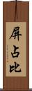 屏占比 Scroll