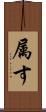 属す Scroll