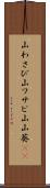 山わさび Scroll